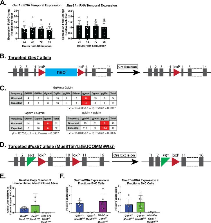 https://cdn.ncbi.nlm.nih.gov/pmc/blobs/c96f/9581529/cc01b98fde54/elife-77073-fig1-figsupp1.jpg