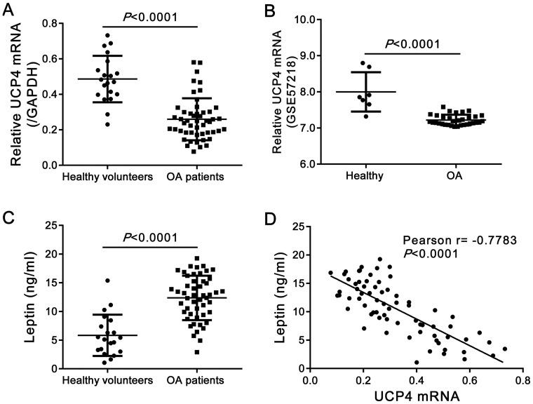 https://cdn.ncbi.nlm.nih.gov/pmc/blobs/c970/4775028/2e0c9b59f7ac/pone.0150684.g002.jpg