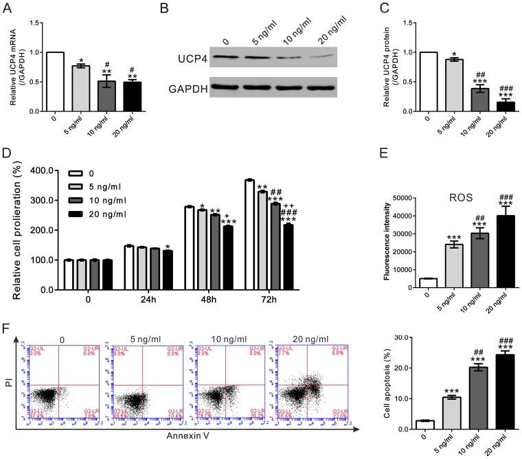 https://cdn.ncbi.nlm.nih.gov/pmc/blobs/c970/4775028/f2ec82f9c04e/pone.0150684.g003.jpg