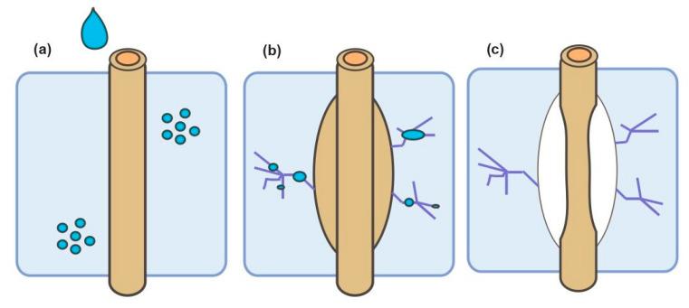 https://cdn.ncbi.nlm.nih.gov/pmc/blobs/c971/7602782/edb091f15f2a/materials-13-04603-g002.jpg
