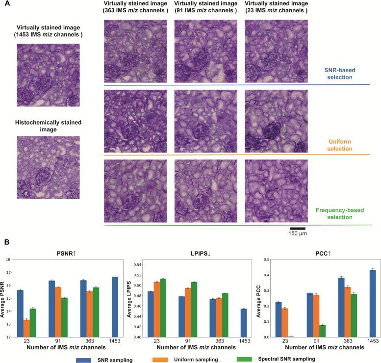 https://cdn.ncbi.nlm.nih.gov/pmc/blobs/c978/12315973/c848c08733ca/sciadv.adv0741-f4.jpg
