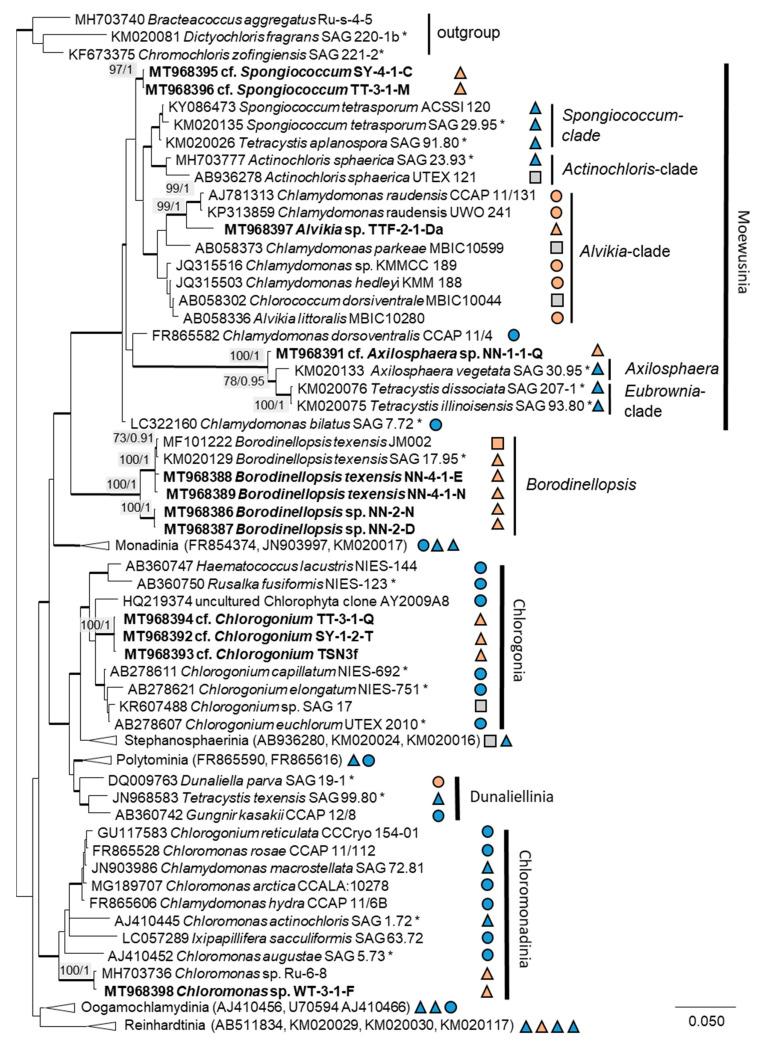 https://cdn.ncbi.nlm.nih.gov/pmc/blobs/c979/7692164/491b83acf87a/microorganisms-08-01667-g002.jpg