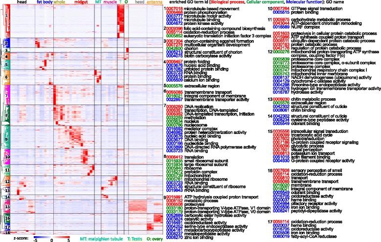 https://cdn.ncbi.nlm.nih.gov/pmc/blobs/c97d/5645894/7c3cada42ee3/12864_2017_4147_Fig7_HTML.jpg