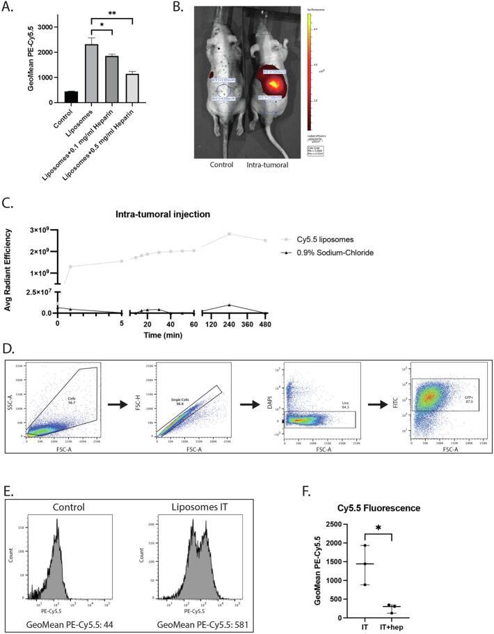 https://cdn.ncbi.nlm.nih.gov/pmc/blobs/c97e/10319201/1374efb5d601/gr2.jpg