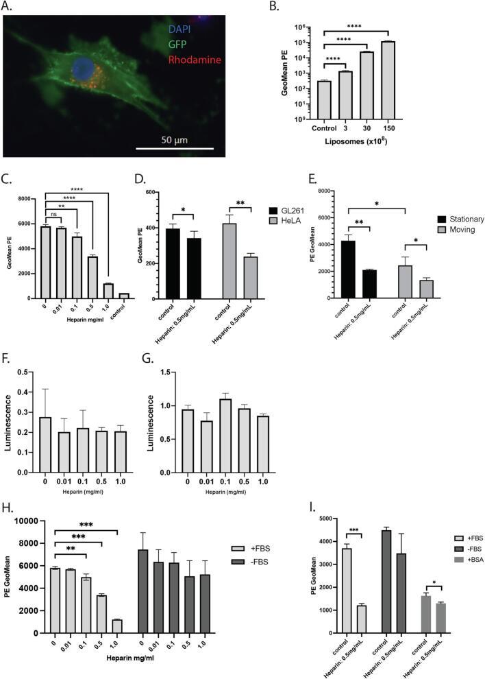 https://cdn.ncbi.nlm.nih.gov/pmc/blobs/c97e/10319201/31b128d7e1f5/gr1.jpg