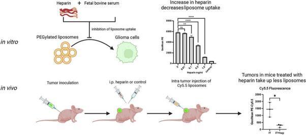 https://cdn.ncbi.nlm.nih.gov/pmc/blobs/c97e/10319201/9986adca648e/ga1.jpg