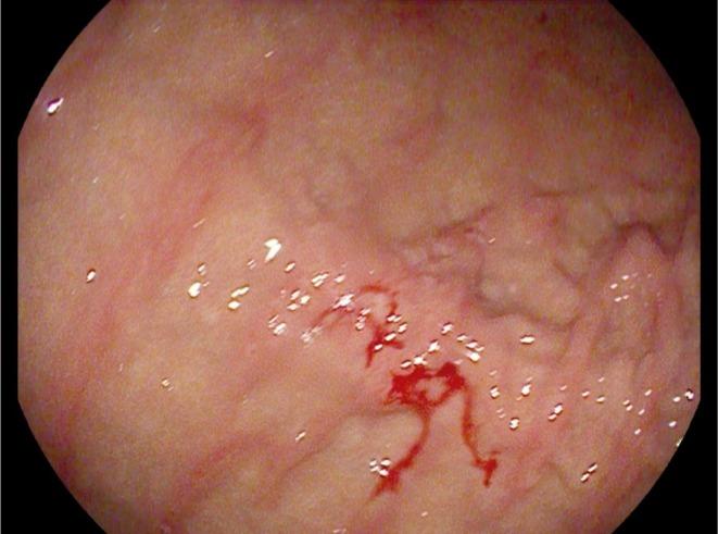 https://cdn.ncbi.nlm.nih.gov/pmc/blobs/c980/12420364/5f87966690e5/CCR3-13-e70881-g006.jpg