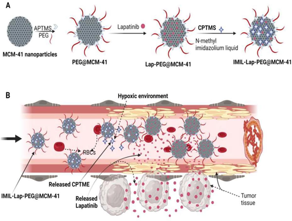https://cdn.ncbi.nlm.nih.gov/pmc/blobs/c982/11223443/676e3b70a029/nihms-2002332-f0006.jpg