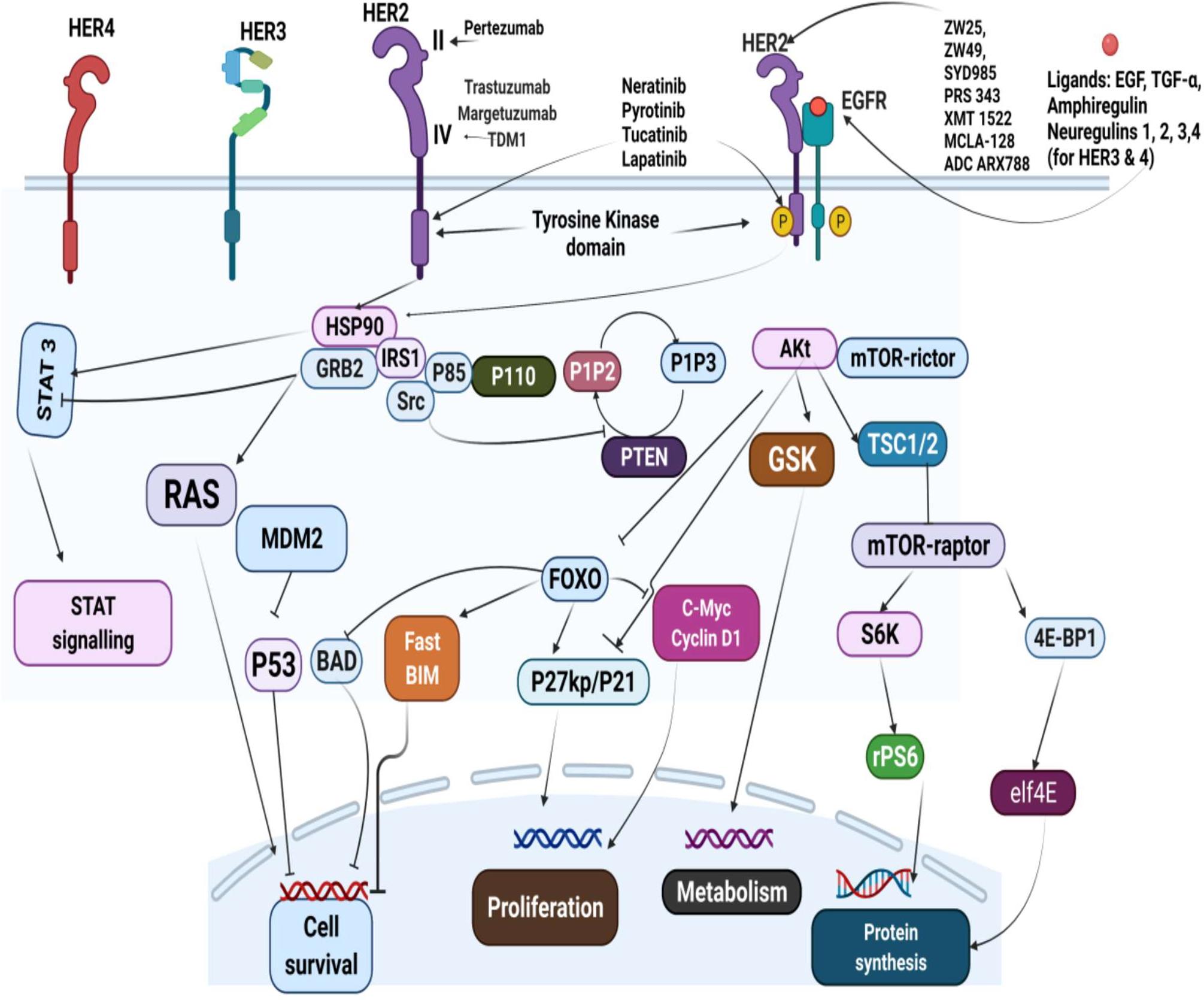 https://cdn.ncbi.nlm.nih.gov/pmc/blobs/c982/11223443/863d82d92fc7/nihms-2002332-f0001.jpg