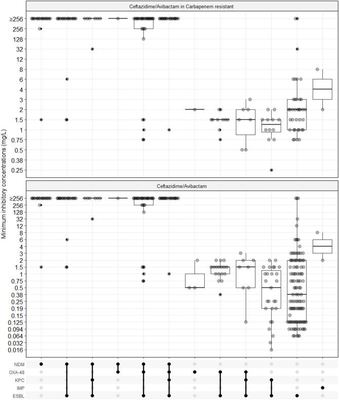 https://cdn.ncbi.nlm.nih.gov/pmc/blobs/c982/12400722/9124ffe4ed36/12941_2025_818_Fig2_HTML.jpg