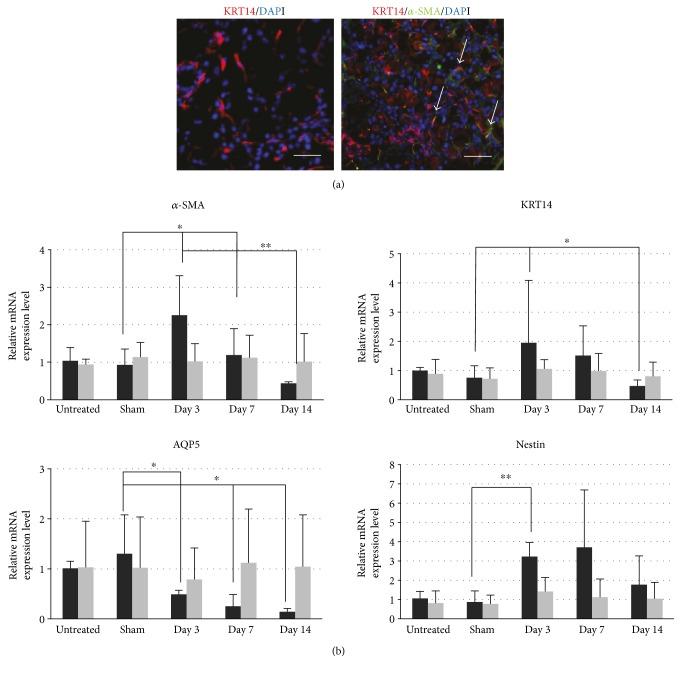 https://cdn.ncbi.nlm.nih.gov/pmc/blobs/c982/5569877/d94bd931851b/SCI2017-4923426.003.jpg