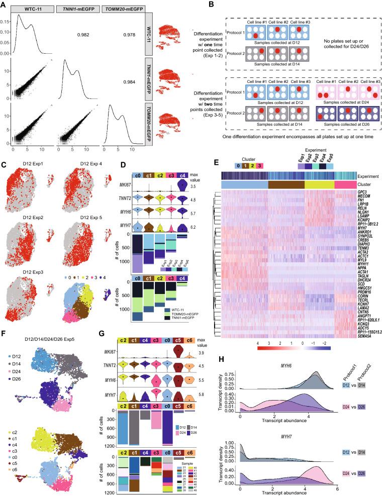 https://cdn.ncbi.nlm.nih.gov/pmc/blobs/c983/8338992/6fcb441cf7ec/41598_2021_94732_Fig5_HTML.jpg
