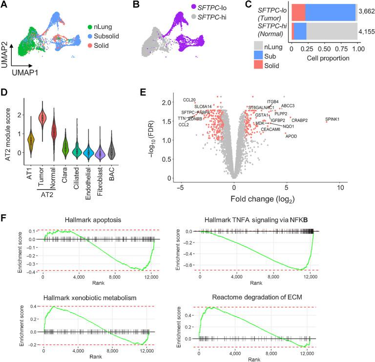 https://cdn.ncbi.nlm.nih.gov/pmc/blobs/c984/10544016/aa96a349f409/3305fig4.jpg