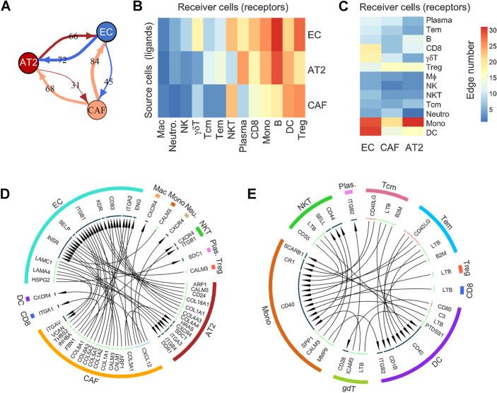 https://cdn.ncbi.nlm.nih.gov/pmc/blobs/c984/10544016/c9fe724cf50d/3305fig6.jpg