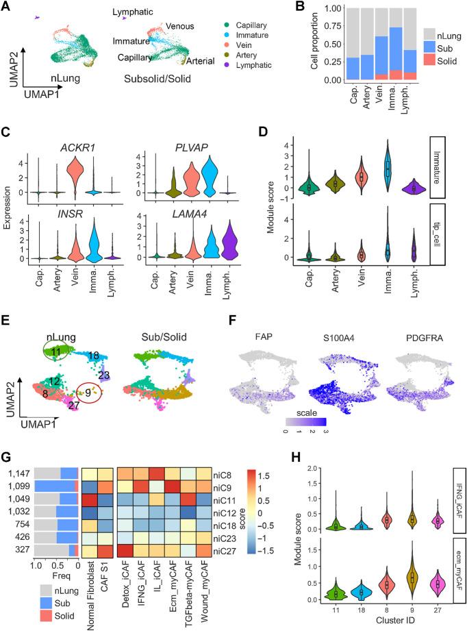 https://cdn.ncbi.nlm.nih.gov/pmc/blobs/c984/10544016/e2e4ba768776/3305fig5.jpg