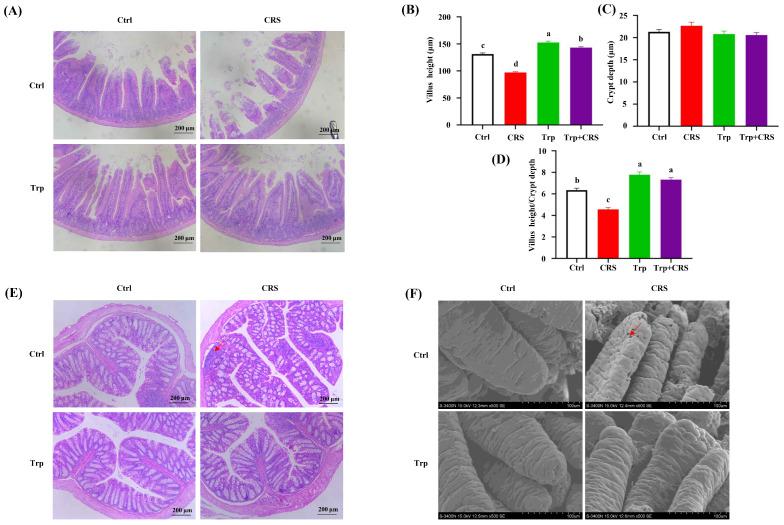 https://cdn.ncbi.nlm.nih.gov/pmc/blobs/c985/11944976/30d97a584029/nutrients-17-00975-g002.jpg