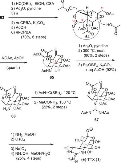 https://cdn.ncbi.nlm.nih.gov/pmc/blobs/c988/12377457/1b05e0588f1d/ANIE-64-e202502404-g030.jpg