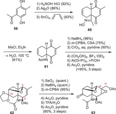 https://cdn.ncbi.nlm.nih.gov/pmc/blobs/c988/12377457/4351ce1518a9/ANIE-64-e202502404-g031.jpg