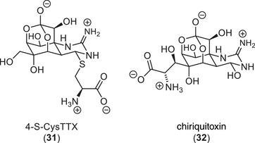 https://cdn.ncbi.nlm.nih.gov/pmc/blobs/c988/12377457/5d0badc05322/ANIE-64-e202502404-g043.jpg