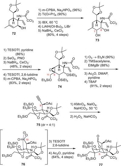 https://cdn.ncbi.nlm.nih.gov/pmc/blobs/c988/12377457/85d5271d5e04/ANIE-64-e202502404-g013.jpg