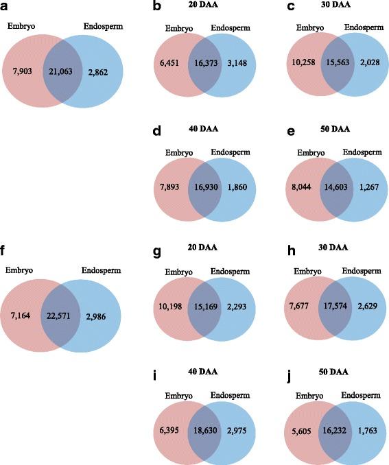 https://cdn.ncbi.nlm.nih.gov/pmc/blobs/c989/5603048/676fec6224a1/12870_2017_1104_Fig2_HTML.jpg