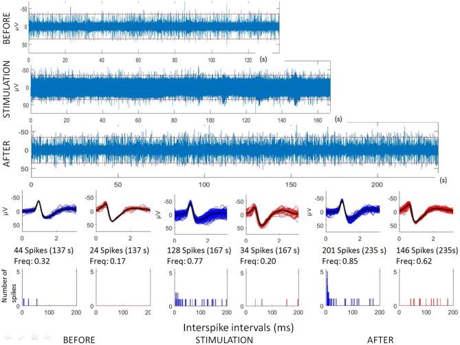 https://cdn.ncbi.nlm.nih.gov/pmc/blobs/c98b/5893788/8596b7f7a698/fncir-12-00022-g0001.jpg