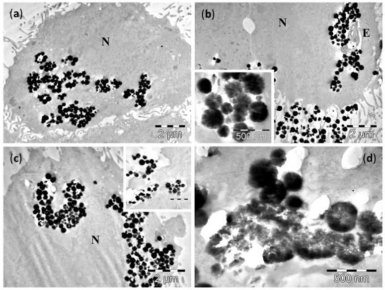 https://cdn.ncbi.nlm.nih.gov/pmc/blobs/c98b/6274490/54d28a90c544/molecules-21-01357-g006.jpg