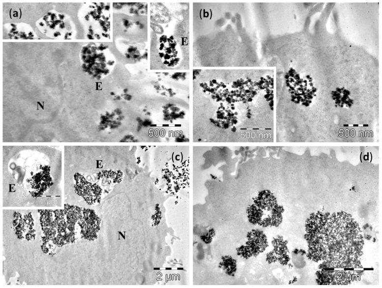 https://cdn.ncbi.nlm.nih.gov/pmc/blobs/c98b/6274490/6efba5774989/molecules-21-01357-g005.jpg