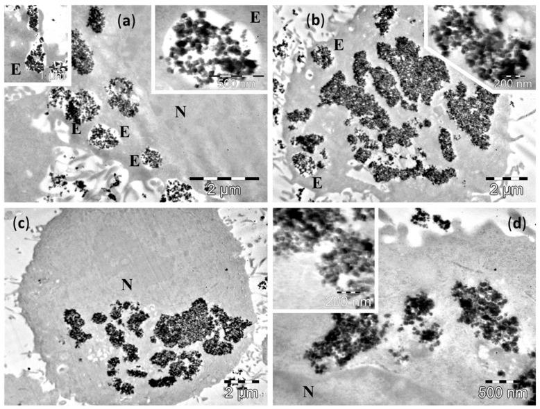 https://cdn.ncbi.nlm.nih.gov/pmc/blobs/c98b/6274490/90840ff10b52/molecules-21-01357-g004.jpg