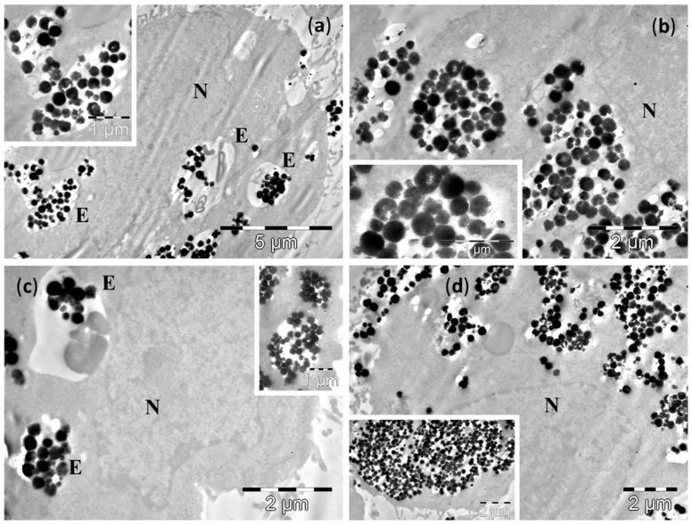 https://cdn.ncbi.nlm.nih.gov/pmc/blobs/c98b/6274490/90ed37c6634d/molecules-21-01357-g007.jpg