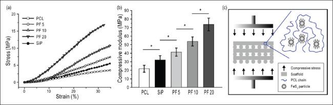 https://cdn.ncbi.nlm.nih.gov/pmc/blobs/c98b/9947485/b29273f4558e/IJB-9-1-636-g003.jpg