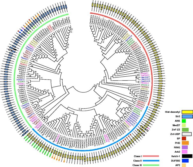 https://cdn.ncbi.nlm.nih.gov/pmc/blobs/c98f/5112689/814bc2cd3be3/12864_2016_3285_Fig4_HTML.jpg
