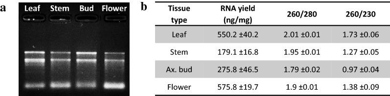 https://cdn.ncbi.nlm.nih.gov/pmc/blobs/c990/6549277/2a9de0f24ca2/13007_2019_447_Fig4_HTML.jpg