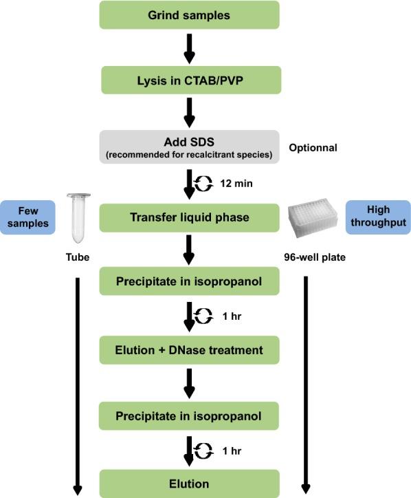 https://cdn.ncbi.nlm.nih.gov/pmc/blobs/c990/6549277/a0ae263cdb3a/13007_2019_447_Fig1_HTML.jpg