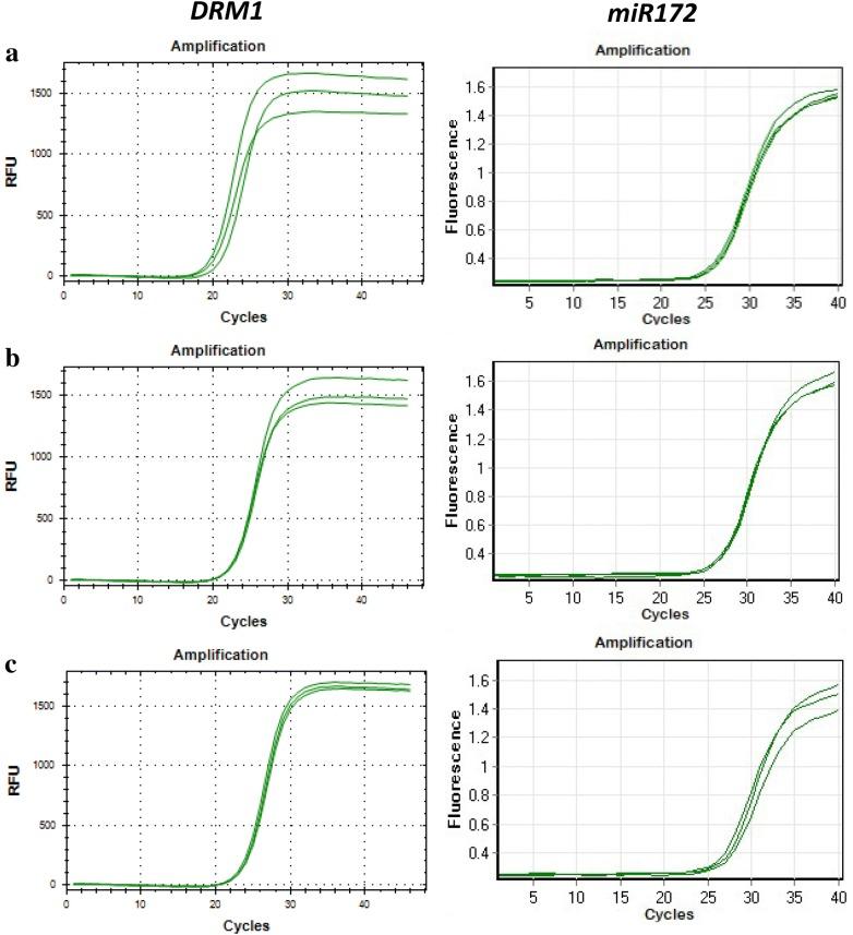 https://cdn.ncbi.nlm.nih.gov/pmc/blobs/c990/6549277/a7cf8e3456cf/13007_2019_447_Fig6_HTML.jpg