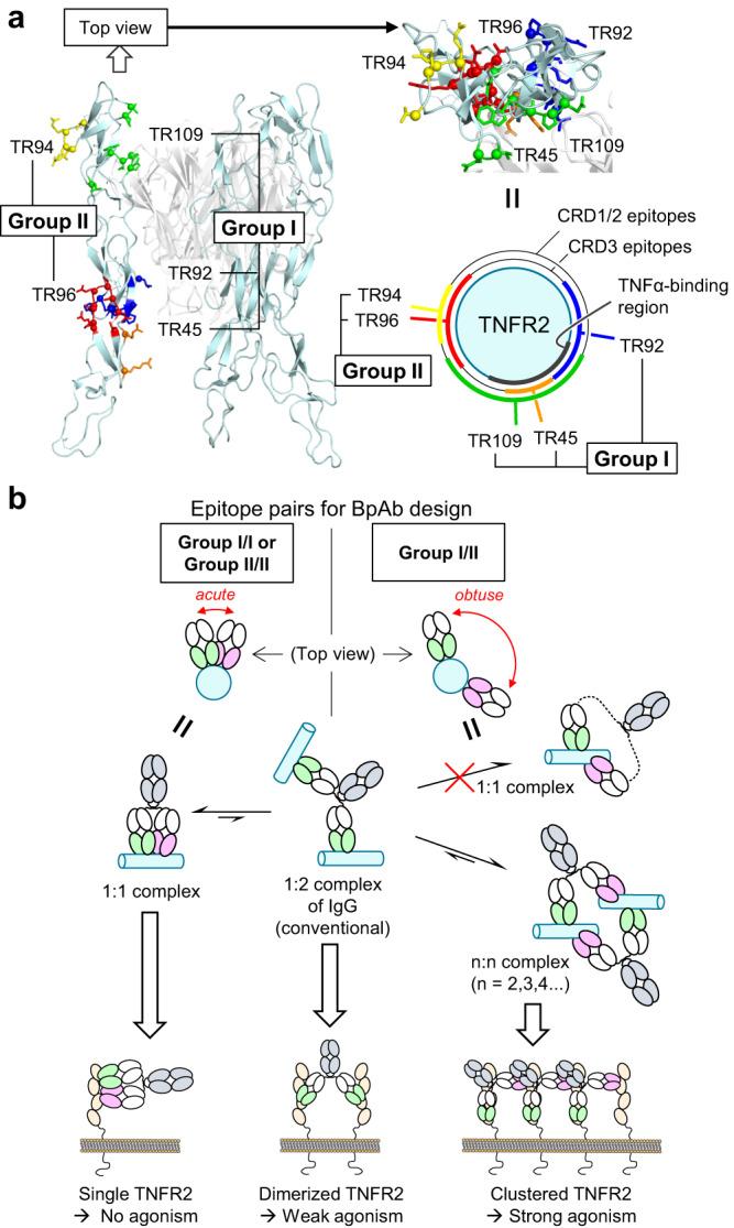 https://cdn.ncbi.nlm.nih.gov/pmc/blobs/c991/10533564/924357512bac/42003_2023_5326_Fig6_HTML.jpg