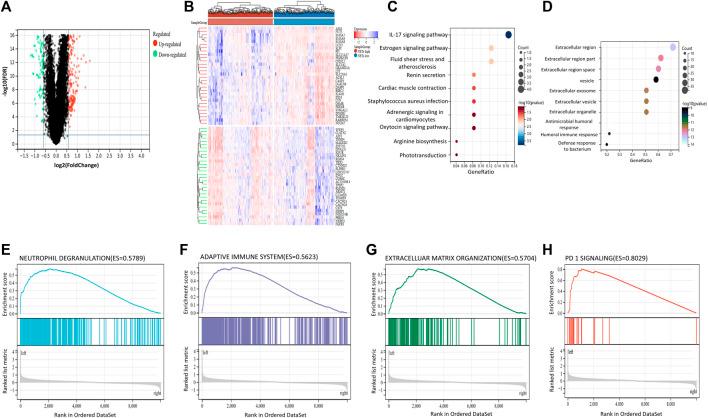 https://cdn.ncbi.nlm.nih.gov/pmc/blobs/c992/10250592/8ff52c2bb68b/fmolb-10-1165776-g002.jpg