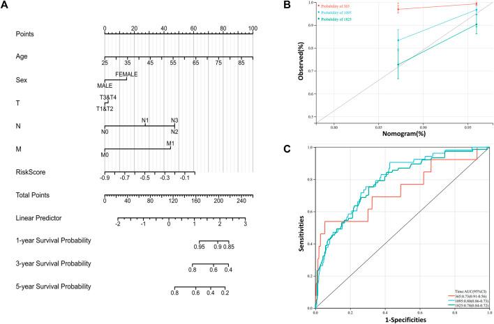 https://cdn.ncbi.nlm.nih.gov/pmc/blobs/c992/10250592/d26cb76bddec/fmolb-10-1165776-g006.jpg