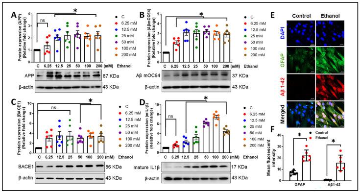 https://cdn.ncbi.nlm.nih.gov/pmc/blobs/c993/11274690/19e29bcc6568/cells-13-01173-g002.jpg