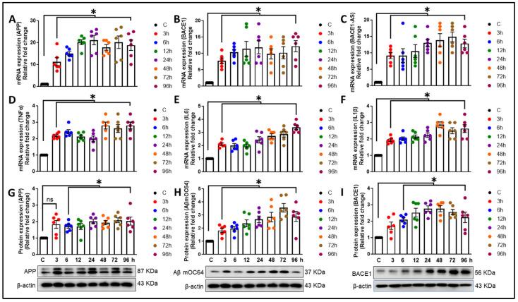 https://cdn.ncbi.nlm.nih.gov/pmc/blobs/c993/11274690/4d35be12f200/cells-13-01173-g003.jpg