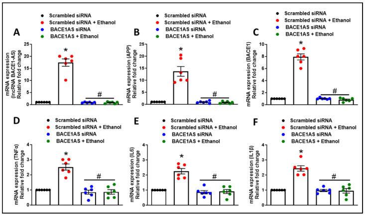 https://cdn.ncbi.nlm.nih.gov/pmc/blobs/c993/11274690/e517209ae4ab/cells-13-01173-g005.jpg
