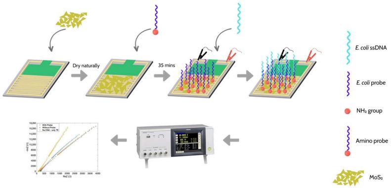 https://cdn.ncbi.nlm.nih.gov/pmc/blobs/c997/12293632/1293f91c4774/biosensors-15-00443-g009.jpg