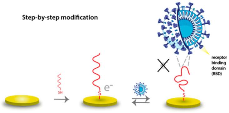 https://cdn.ncbi.nlm.nih.gov/pmc/blobs/c997/12293632/5f0dc310103b/biosensors-15-00443-g007.jpg