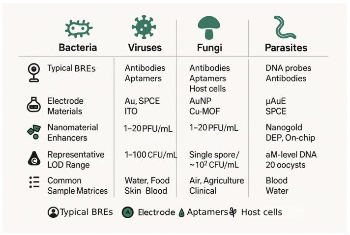 https://cdn.ncbi.nlm.nih.gov/pmc/blobs/c997/12293632/baa0825897c5/biosensors-15-00443-g005.jpg