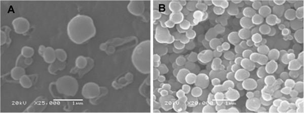 https://cdn.ncbi.nlm.nih.gov/pmc/blobs/c997/4137108/01e008565a7a/1471-2091-15-16-7.jpg