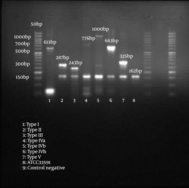 https://cdn.ncbi.nlm.nih.gov/pmc/blobs/c998/4541167/b6eb4e849335/jjm-08-06-18591-g001.jpg