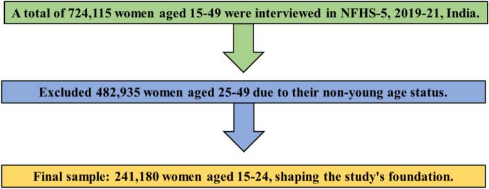 https://cdn.ncbi.nlm.nih.gov/pmc/blobs/c99a/11362602/ffd42da7bf4c/41598_2024_70383_Fig1_HTML.jpg