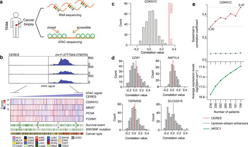 https://cdn.ncbi.nlm.nih.gov/pmc/blobs/c99b/8285479/37fa069f2781/41467_2021_24537_Fig6_HTML.jpg