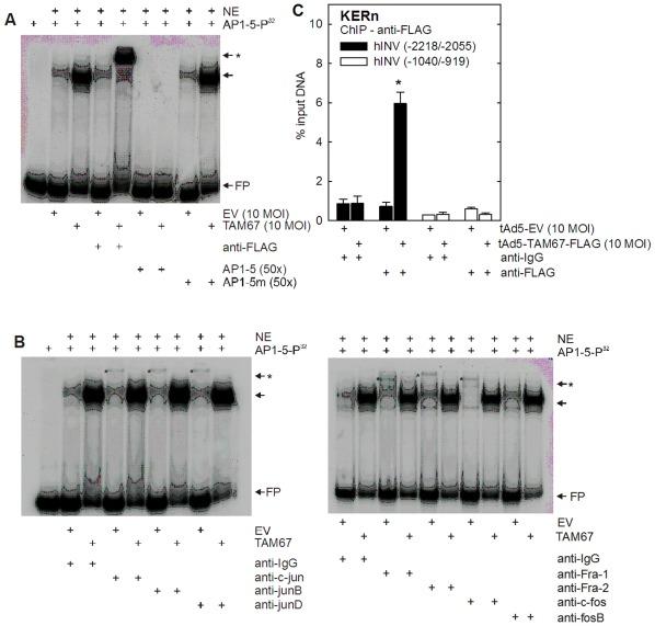 https://cdn.ncbi.nlm.nih.gov/pmc/blobs/c99c/3359321/dc7244869847/pone.0036941.g006.jpg