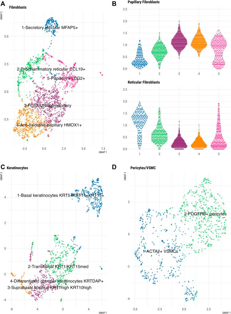 https://cdn.ncbi.nlm.nih.gov/pmc/blobs/c99f/9096112/6f266752dce5/fcell-10-872688-g003.jpg